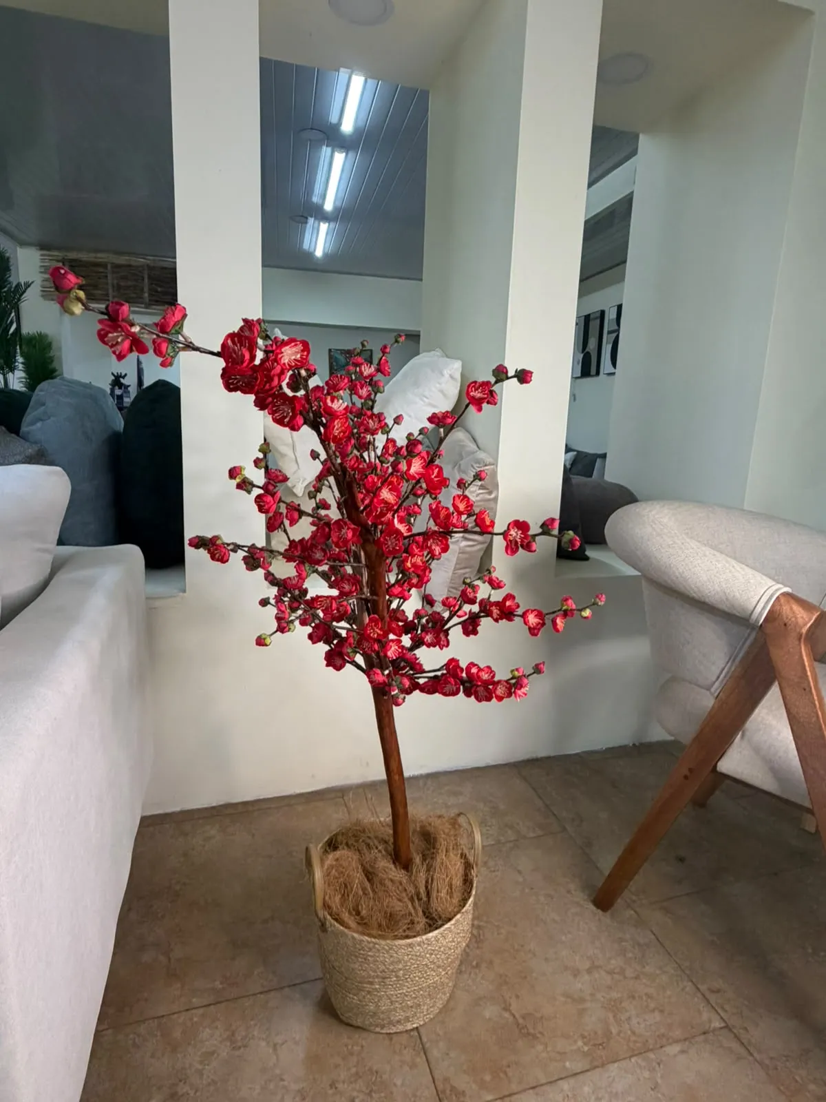 Árbol De Flores Carmesí