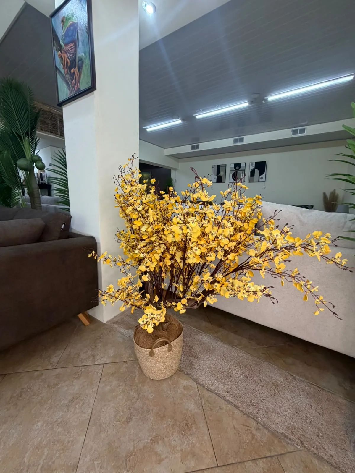 Árbol De Orquídeas Doradas