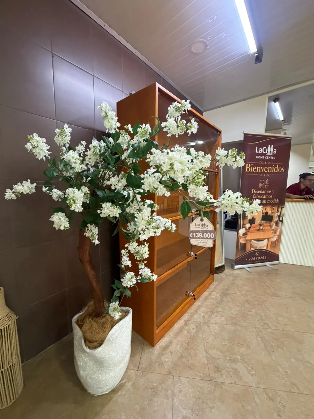 Árbol Magnolia Blanco