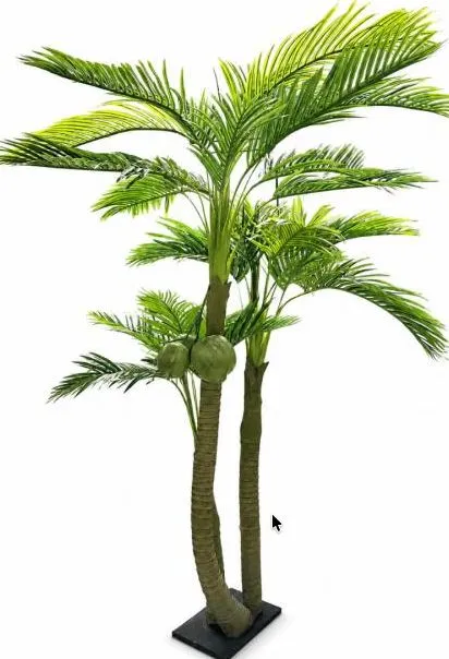 Cocotero Caribe