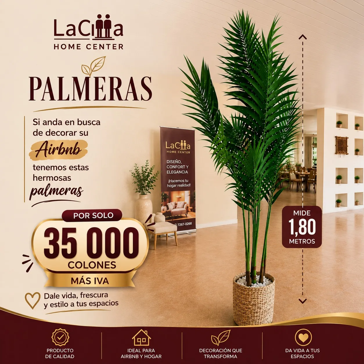 Decoración Y Complementos